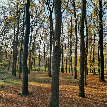 בית נופש Casa Sosafora - Boshuisje Veluwe אוטרלו