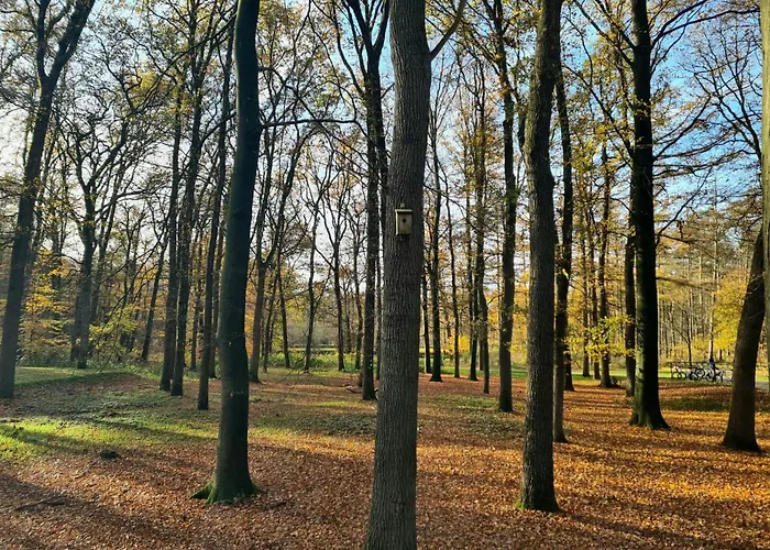 بيت للعطل Casa Sosafora - Boshuisje Veluwe أوتيرلو