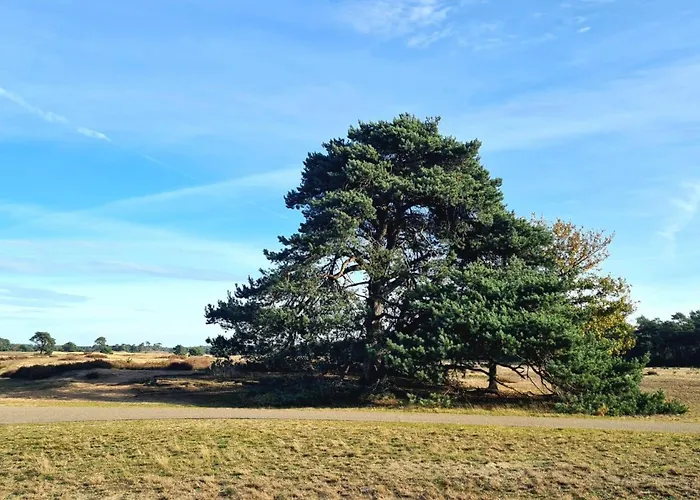 Casa Sosafora - Boshuisje Veluwe أوتيرلو
