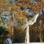 Casa Sosafora - Boshuisje Veluwe Tatil Evi