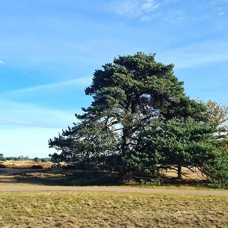 Casa Sosafora - Boshuisje Veluwe 欧特罗